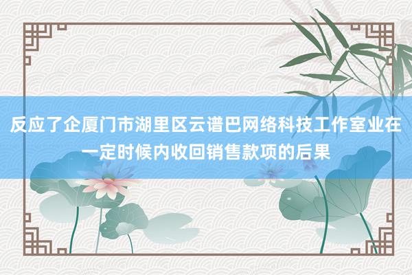 反应了企厦门市湖里区云谱巴网络科技工作室业在一定时候内收回销售款项的后果