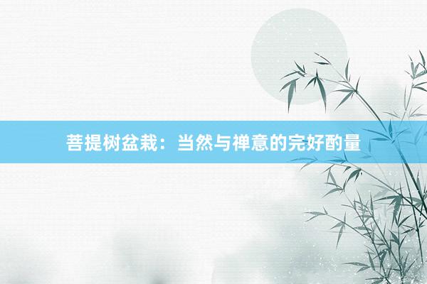 菩提树盆栽：当然与禅意的完好酌量
