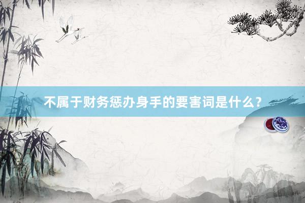 不属于财务惩办身手的要害词是什么？